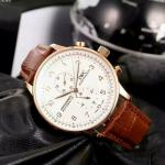 IWC Portuguese Collection IW-105