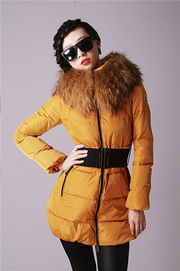 Cheap Moncler Womens Coats 2013 Yellow Fashionable Long Style  041