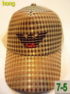 Armani Cap & Hats Wholesale ACHW19