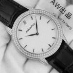 Audemars Piguet Hot Watches APHW131