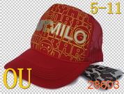 Bape Cap & Hats Wholesale BCHW14