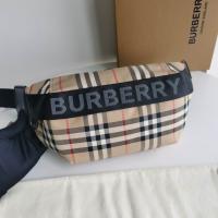 New Burberry handbags NBH499