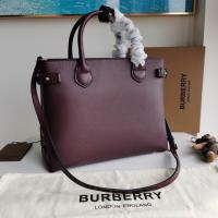 New Burberry handbags NBH509