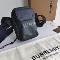 New Burberry handbags NBH519
