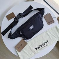 AAA Hot l Burberry handbags HOTBHB563