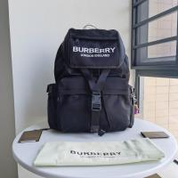 AAA Hot l Burberry handbags HOTBHB570