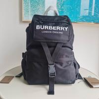 AAA Hot l Burberry handbags HOTBHB588