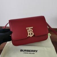 AAA Hot l Burberry handbags HOTBHB617