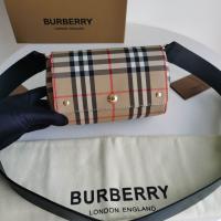 AAA Hot l Burberry handbags HOTBHB619
