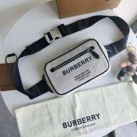 AAA Hot l Burberry handbags HOTBHB738