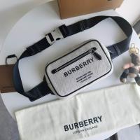 AAA Hot l Burberry handbags HOTBHB740