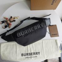 AAA Hot l Burberry handbags HOTBHB779