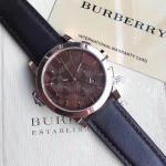 Burberry Watches BW014