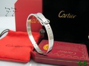 Cartier Bracelets CaBra037