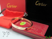 Cartier Bracelets CaBra038