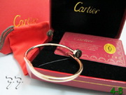Cartier Bracelets CaBra043