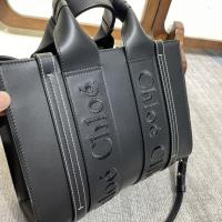New Chloe handbags NCHB015