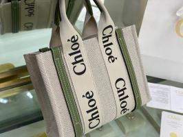 New Chloe handbags NCHB029