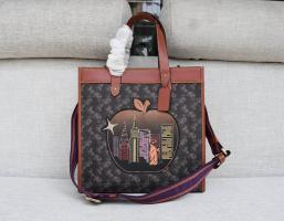 AAA Hot l Coach handbags HOTCHB125