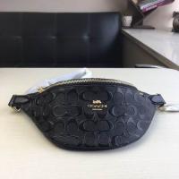 AAA Hot l Coach handbags HOTCHB157