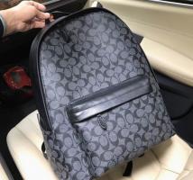 AAA Hot l Coach handbags HOTCHB017