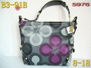 AAA Hot l Coach handbags HOTCHB218