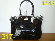 AAA Hot l Coach handbags HOTCHB227