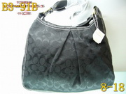 AAA Hot l Coach handbags HOTCHB234
