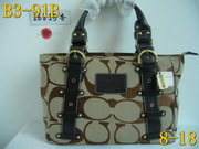 AAA Hot l Coach handbags HOTCHB248