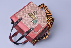 AAA Hot l Coach handbags HOTCHB066