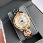 Dior Watches DW018