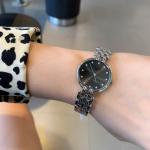 Dior Watches DW019