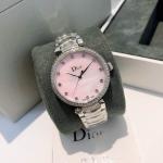 Dior Watches DW009