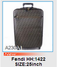 New arrival AAA Fendi bags NAFB121