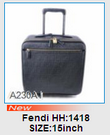 New arrival AAA Fendi bags NAFB125