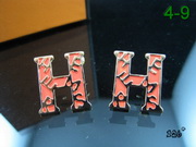 Hermes Earrings HE84