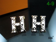 Hermes Earrings HE89