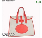 New arrival AAA Hermes bags NAHB533