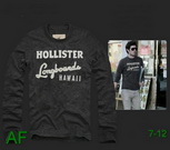 Hollister Man Long T shirt HMLTS-26