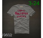 Replica Hollister Man short T Shirts RHoMTS-83