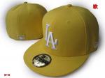 Los Angeles Dodgers Cap & Hats Wholesale LADCHW13