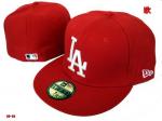 Los Angeles Dodgers Cap & Hats Wholesale LADCHW02