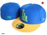 Los Angeles Dodgers Cap & Hats Wholesale LADCHW25