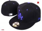 Los Angeles Dodgers Cap & Hats Wholesale LADCHW06