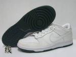 Nike Dunk Man Shoes 50