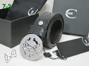 Other Brand Belts AAA OBB32