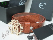 Other Brand Belts AAA OBB46
