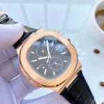 Patek Philippe Hot Watches PPHW175