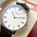 Patek Philippe Hot Watches PPHW051