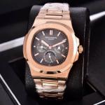 Patek Philippe Hot Watches PPHW055
